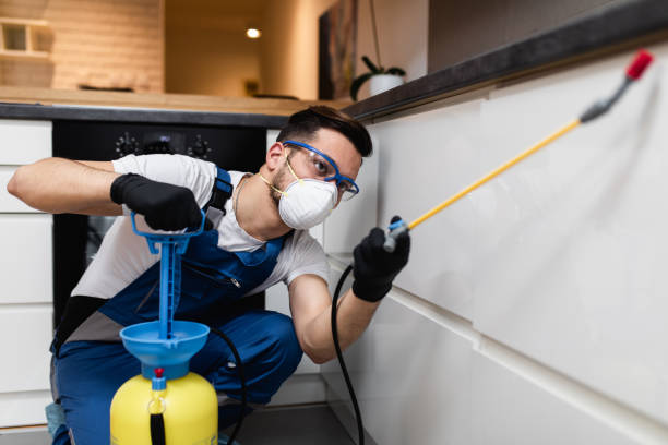 Best Residential Pest Control  in Encantada Ranchito El Calaboz, TX