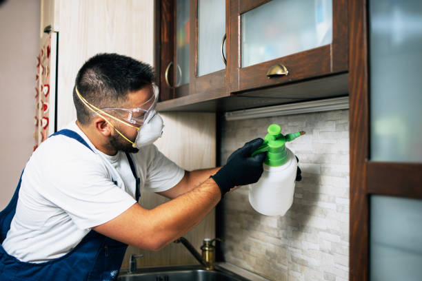 Best Wasp Removal Services  in Encantada Ranchito El Calaboz, TX