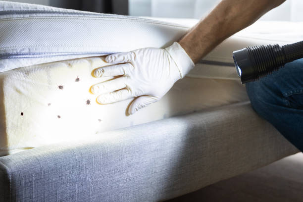 Trusted Encantada Ranchito El Calaboz, TX Pest Control Experts