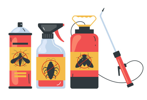 Best Local Pest Control Services  in Encantada Ranchito El Calaboz, TX