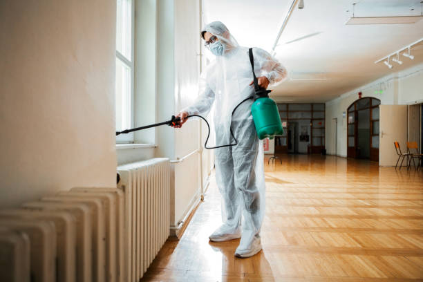 Best Termite Control Services  in Encantada Ranchito El Calaboz, TX