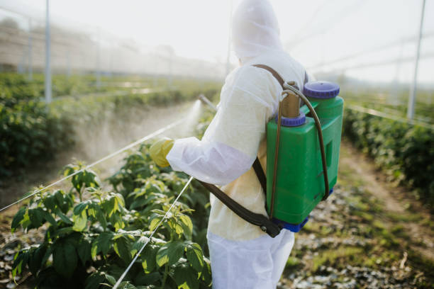 Best Pest Control Near Me  in Encantada Ranchito El Calaboz, TX